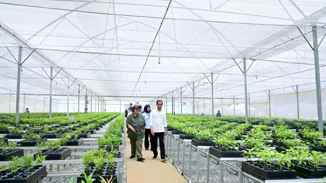 Indonesia telah berhasil menurunkan angka deforestasi sampai titik terendah pada tahun 2021-2022 sebesar 104 ribu ha. Sementara, deforestasi Indonesia tahun 2020-2021 adalah sebesar 113,5 ribu ha. (Istimewa)