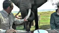 Tanpa alasan yang pasti, seekor gajah di taman margasatwa di Zimbabwe melontarkan wisatawan dari tempat duduknya selagi makan malam.