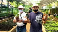 Permintaan Bibit Tanaman Sayuran hingga Toga Meningkat di DKPP Surabaya