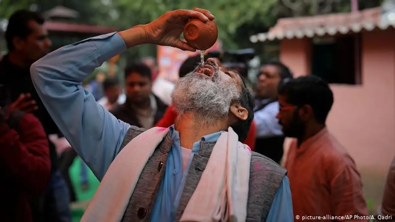ratusan warga India minum urine sapi