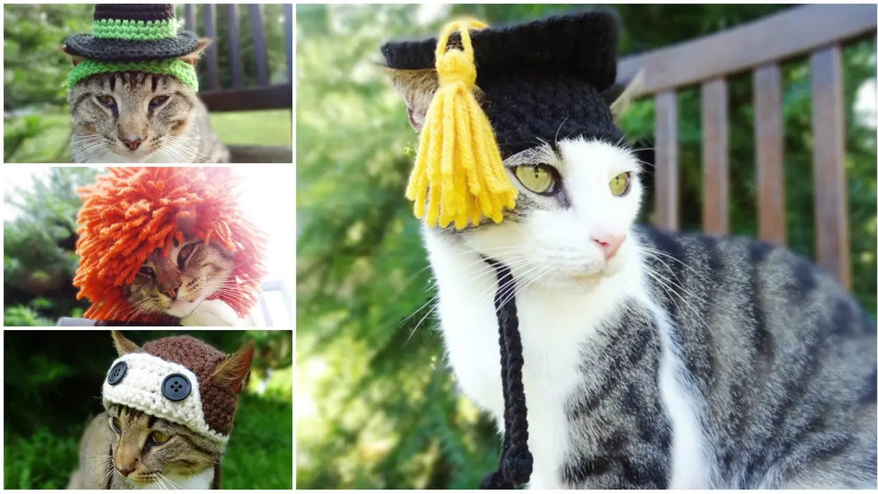 Topi Rajut Keren untuk Kucing