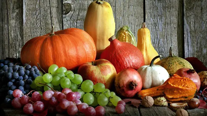 (c) shutterstock.com