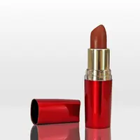 Ilustrasi memakai lipstik. (pixabay.com)