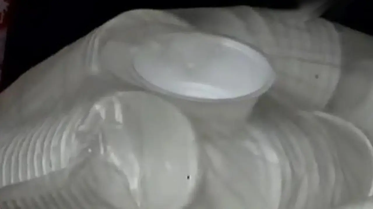 Larangan Styrofoam