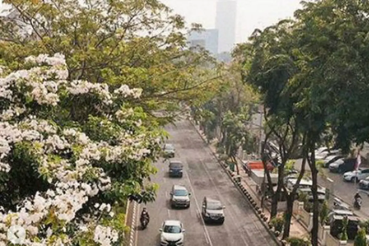 (Foto: Instagram @Surabaya)