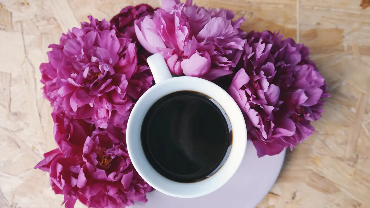 kopi