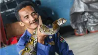 Muhammad Rizal seorang ASN dari Dinas Pemadam Kebakaran dan Penanggulangan Bencana (DPKPB) Kabupaten Purwakarta, bukan hanya jago dalam memadamkan kebakaran, tetapi juga mampu menjinakkan ular. (Liputan6.com/Abramena)