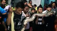 Warga Tangkap Ular Piton Pengganggu Emak-Emak Mandi di Sungai