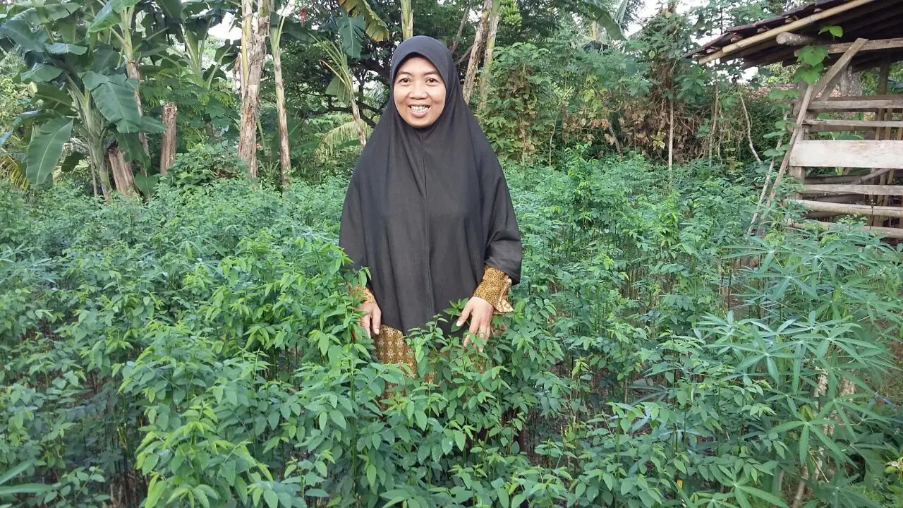 Bidan Siwi Lestari 