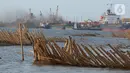 Sebagaimana diketahui, abrasi menjadi ancaman serius bagi wilayah di pesisir utara Pulau Jawa. (merdeka.com/Imam Buhori)