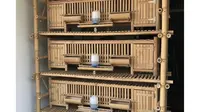 7 Inspirasi Desain Kandang Ayam Modern Cuma Pakai Bambu, Estetik dan Fungsional