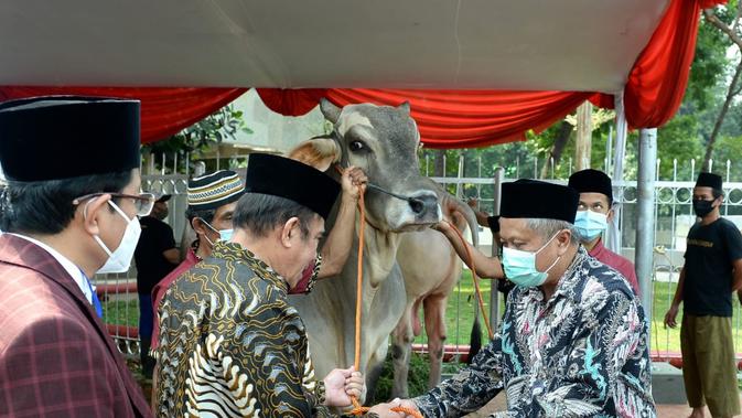 Penyerahan hewan kurban secara simbolis dilakukan oleh Menteri Agama Fachrul Razi yang mewakili Presiden dan Wakil Presiden.(Foto: Biro Pers Sekretariat Presiden)