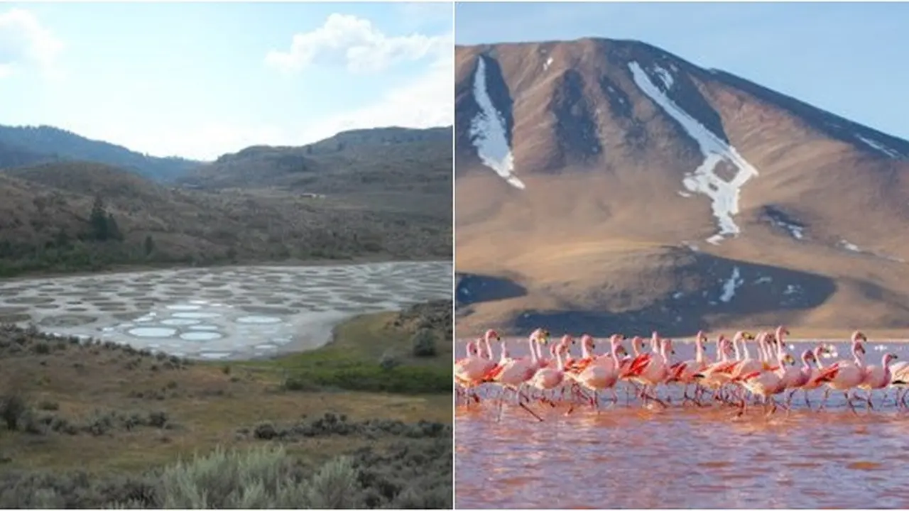 5 Danau Unik di Dunia dengan Visual Tak Biasa, Ada Bentuk Mozaik di Musim Panas