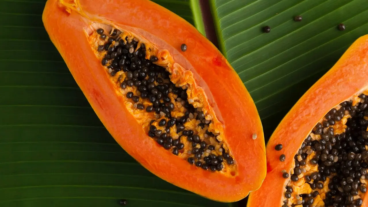Pepaya bisa jadi obat alami untuk atasi jerawat