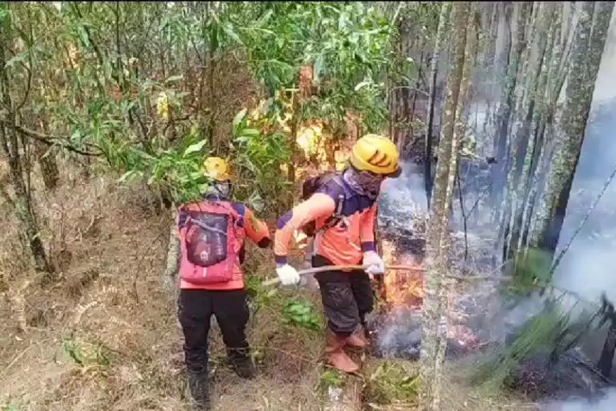 Tim Gabungan Penanganan Kebakaran Gunung Arjuno Sisir Ulang Blok Curah Kluntung
