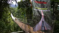 Jembatan gantung dibangun di area Taman Nasional Gunung Gede Pangrango (TNGGP) Resort Situgunung, tepatnya di Kecamatan Kadudampit, Kabupaten Sukabumi, Jawa Barat. (Liputan6.com/Mulvi Mohammad)