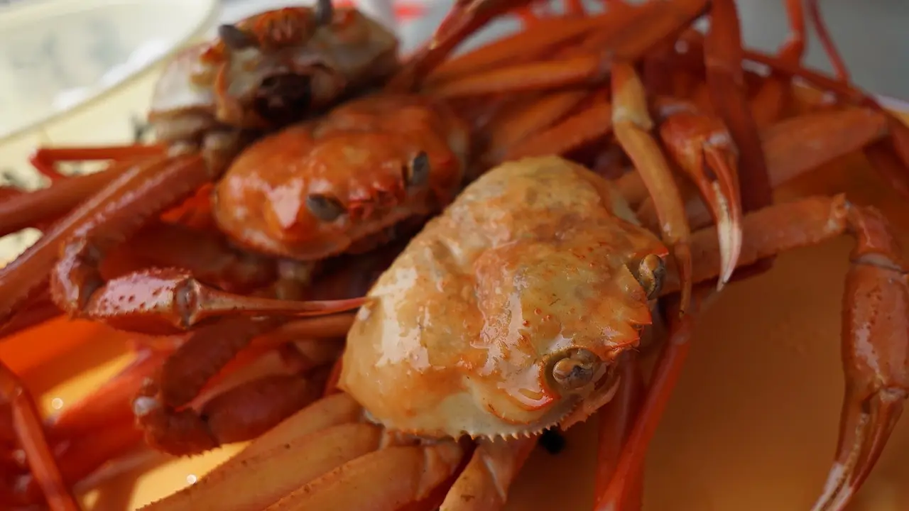 Kepiting Salju