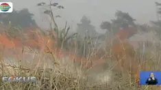 Pepohonan dan ilalang di kaki Gunung Guntur, Garut, Jawa Barat, hangus dilalap api. Api diduga datang akibat kemarau panjang.