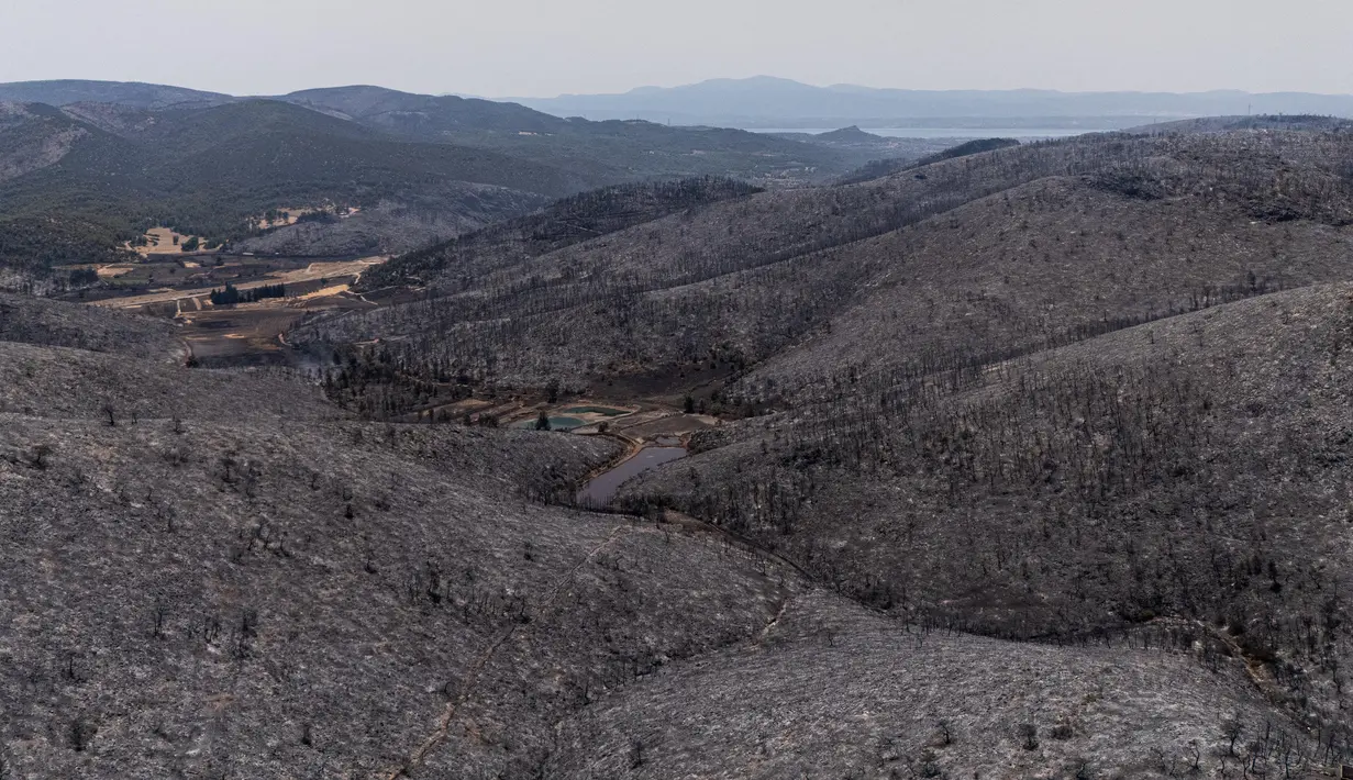 Kondisi ini memicu musim kebakaran hutan yang lebih panjang dan merusak. (Angelos TZORTZINIS/AFP)