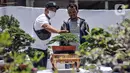 Pengunjung melihat koleksi pohon bonsai yang dipamerkan dalam acara Jengbreng BSC di kawasan Sawangan, Depok, Jawa Barat, Minggu (6/3/2022). Pameran tersebut menampilkan berbagai jenis pohon bonsai dengan harga Rp 500 ribu hingga Rp 10 juta. (merdeka.com/Iqbal S. Nugroho)