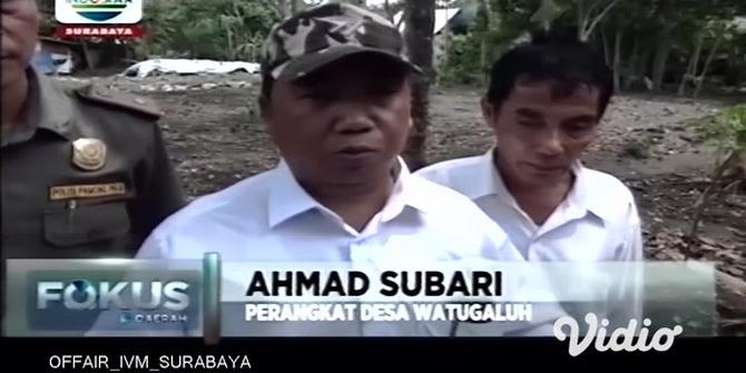 VIDEO: Ular Kobra Masuk Rumah Warga di Jombang