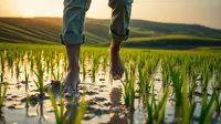Arti Mimpi Berjalan di Lumpur Sawah: Makna dan Tafsir Lengkap