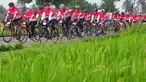 Sejumlah peserta memacu sepedanya melintas di sebelah area persawahan saat mengikuti BTN Tour de Borobudur XVII di Jawa Tengah (12/11). Tema acara ini 'Membelah Keindahan Alam Jawa Tengah'. (Liputan6.com/Gholib)