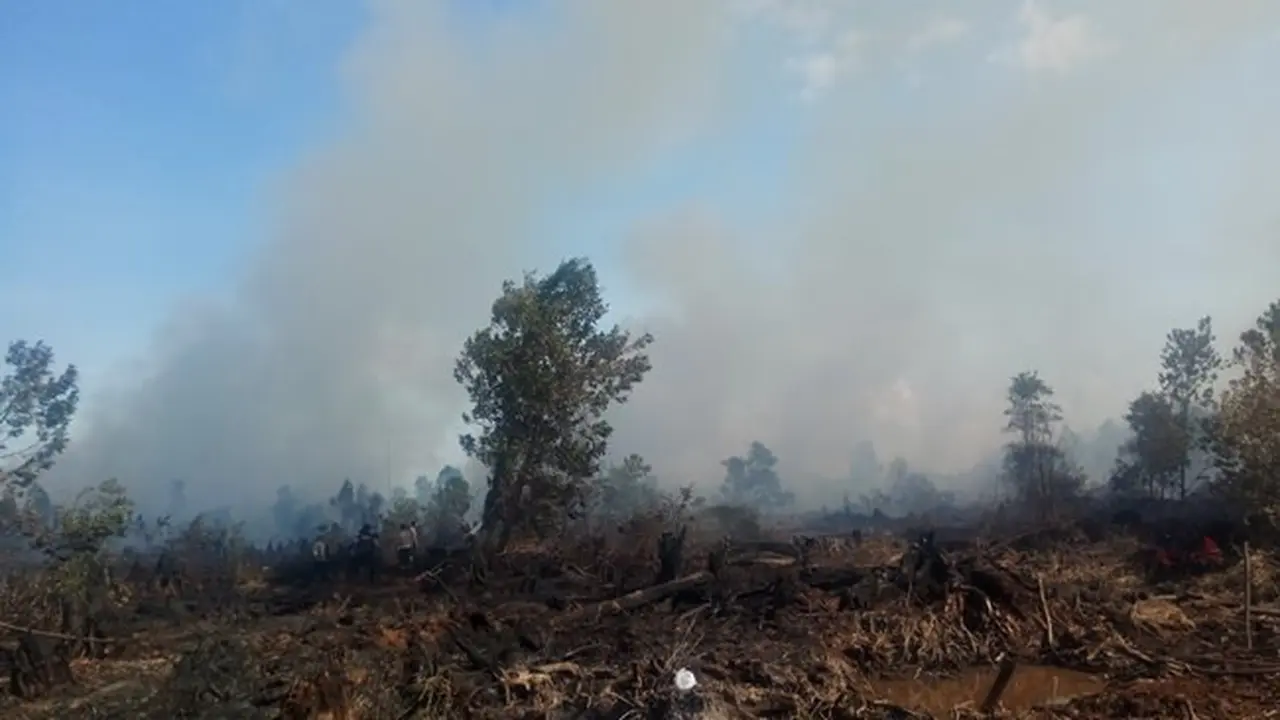 Kebakaran lahan di Kota Dumai mengepulkan asap tebal ke udara.