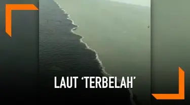 Fenomena air laut terbelah menjadi dua warna terjadi di Selat Madura atau lebih tepatnya di bawah Jembatan Nasional Surabaya-Madura. Sontak fenomena alam ini membuat ramai warganet di jagad maya.
