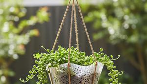 Ilustrasi Pot Gantung. (Foto: AI)