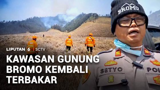 Kawasan Gunung Bromo kembali Terbakar
