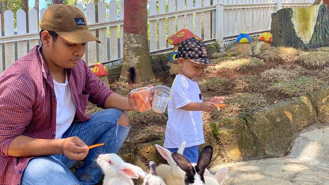 Suasana Taman Edukasi Farm Day Lampung. Foto: (Liputan6.com/Ardi).
