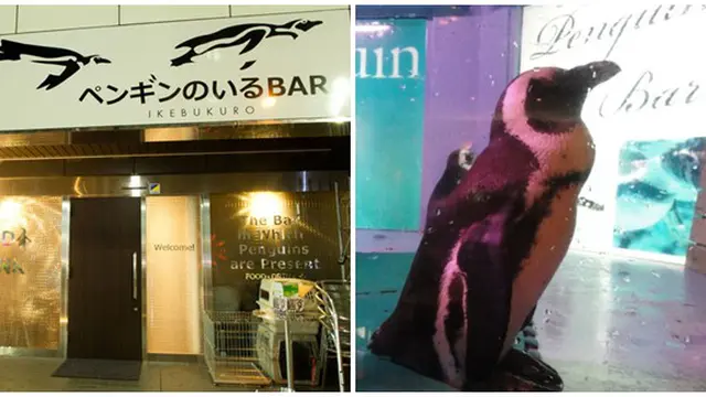 Foto : copyright kotaku.com