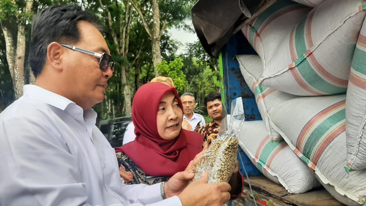 Sebanyak 18 ton kopi Communal Branding dengan merek Javeast Coffe dieekspor ke Mesir. (Dian Kurniawan/Liputan6.com)