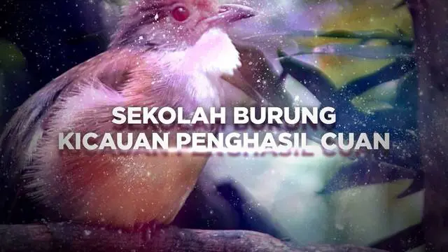 Rachmad Saleh senang memelihara hewan, terutama burung. Hal ini sudah digemarinya sejak ia masih kecil. Di samping itu, dia juga menyukai tantangan dan senang mempelajari hal baru. 

Siapa sangka, ternyata kini Rachmad bisa memiliki usaha sekolah u...