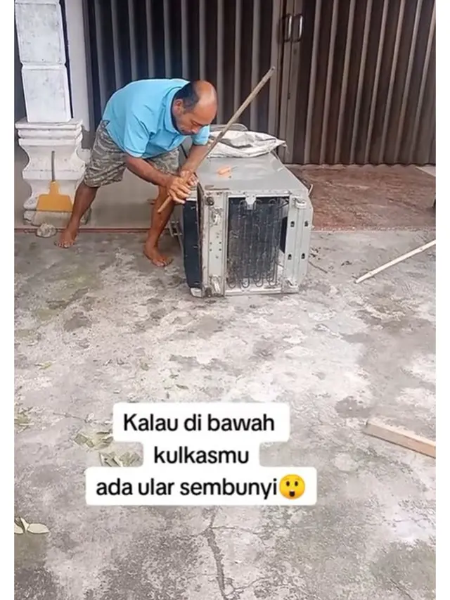 Heboh Warga Tangkap Ular Sembunyi di Bawah Kulkas, Caranya Bikin Ngeri