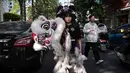 Tarian Barongsai menjadi pertunjukan yang paling dinanti saat perayaan Tahun Baru Imlek. (Jade GAO/AFP)