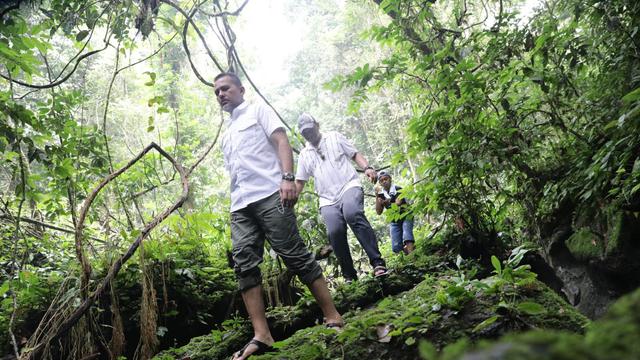 Wagub Sumut, Musa Rajekshah