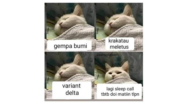 7 Meme Cara Bangun Mendadak dari Tidur, Bikin Ikut Mengangguk