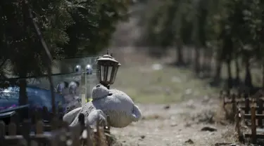 Boneka Beruang diletakkan di salah satu makam di pemakaman hewan, Beijing , Cina (26/3). Memiliki hewan peliharaan kini telah menjadi simbol kesuksesan di Cina. (REUTERS / Jason Lee)