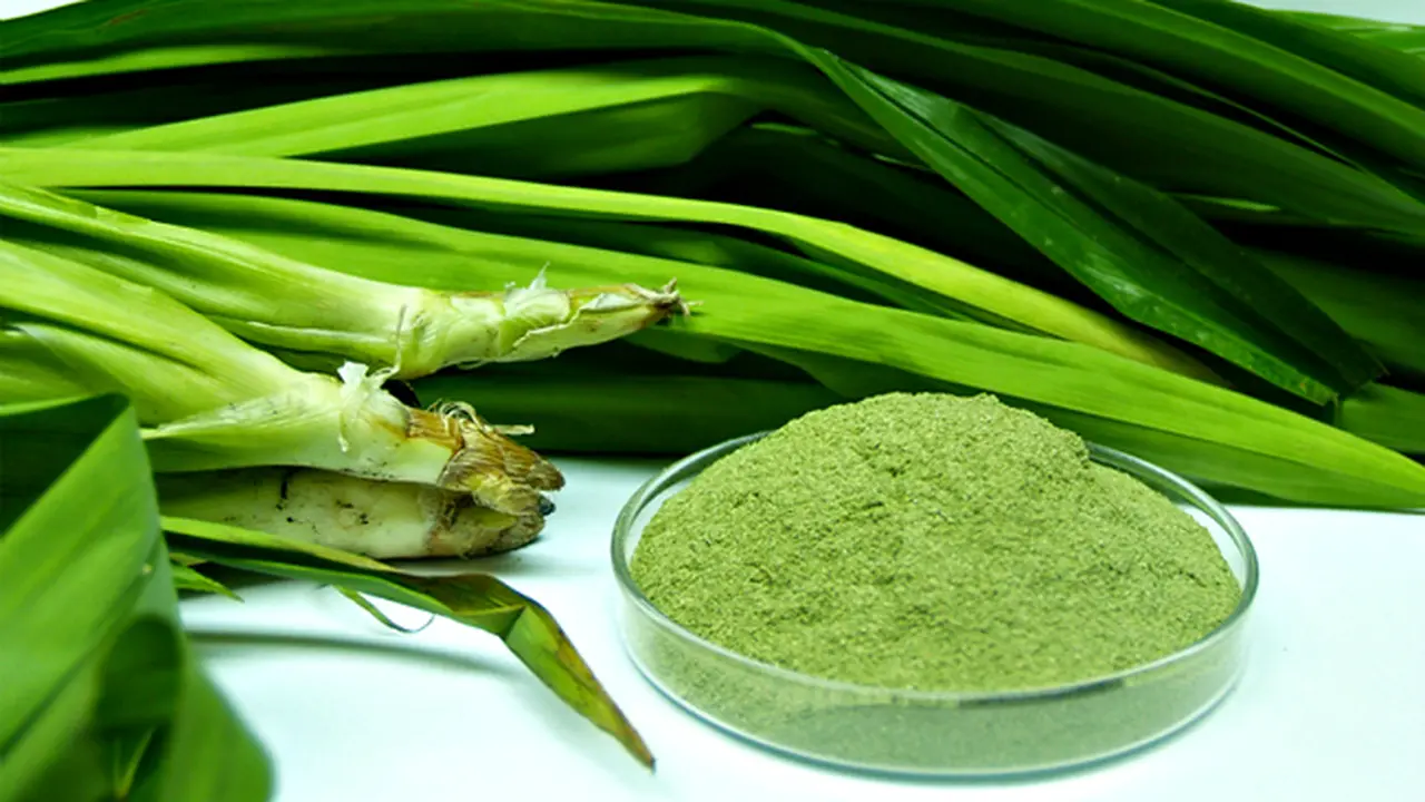 Jangan Anggap Remeh Daun Pandan