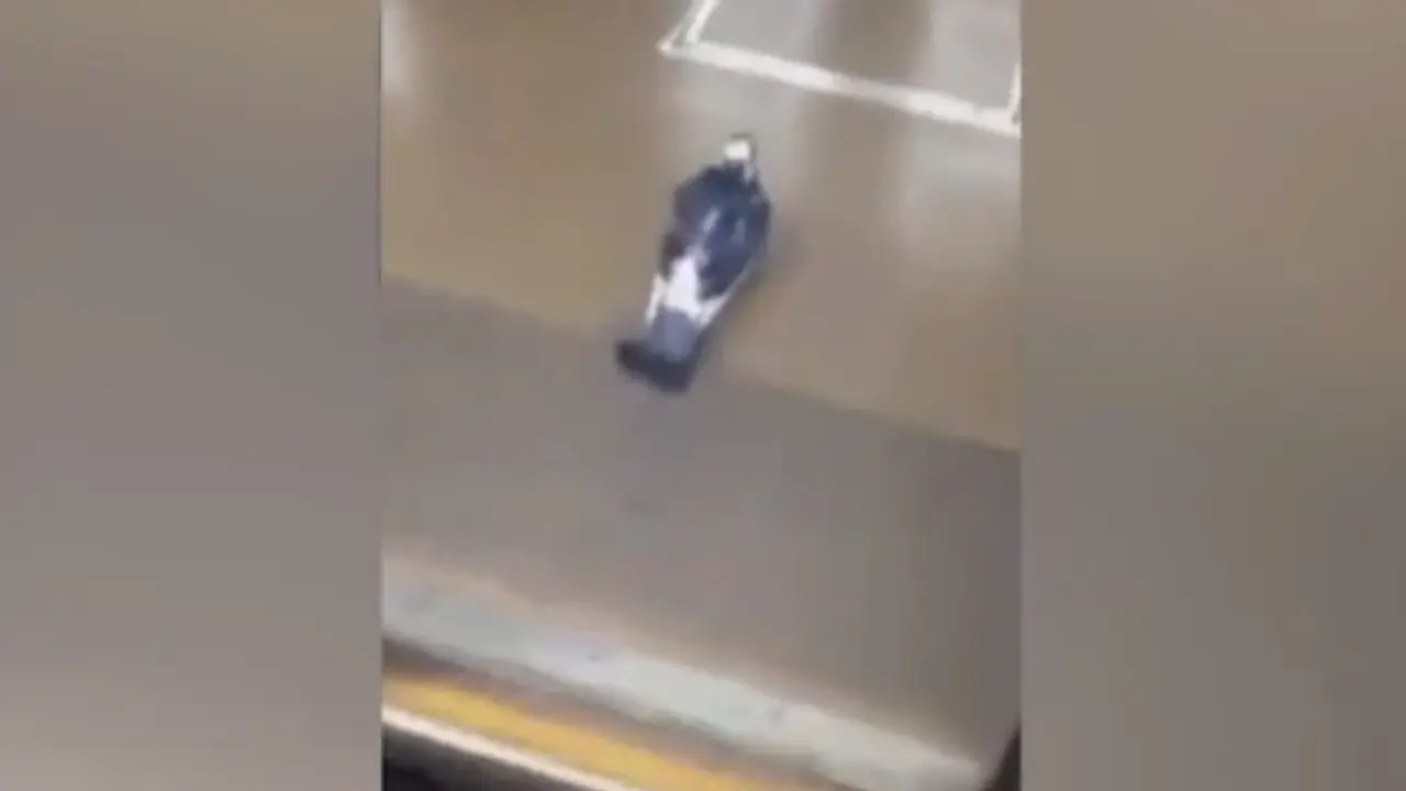 Malas Terbang, Merpati Ini Menumpang Commuter Line