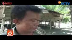 Seorang bocah lumpuh di Mamuju Utara, Sulawesi Barat, harus hidup mandiri di tengah kemiskinan.