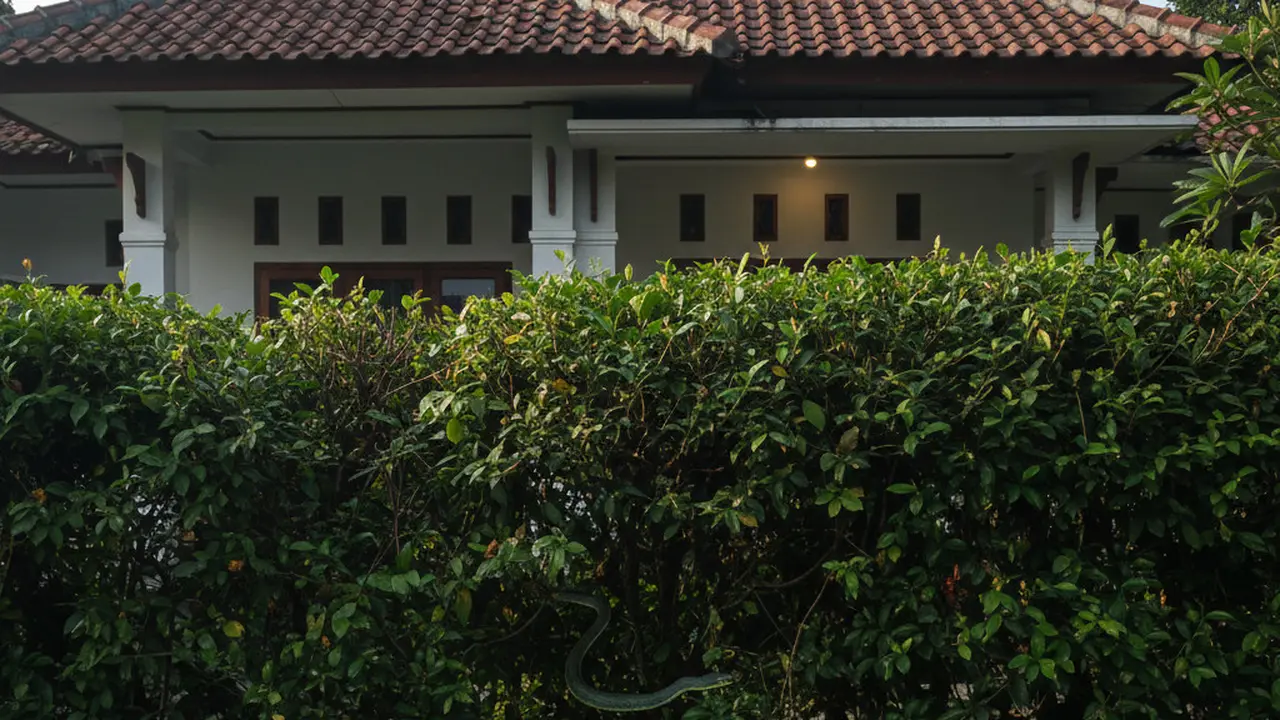 Pagar tanaman yang menarik ular kobra (Foto: Gemini AI)