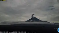 Gunung Semeru Erupsi Lagi tinggi letusan capai 800 Meter (Istimewa)