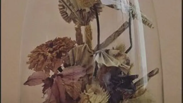 Mahar pernikahan Tara Basro