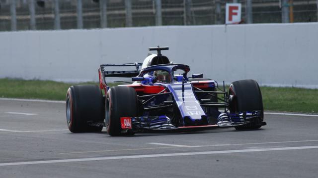 Sean Gelael, F1, Toro Rosso