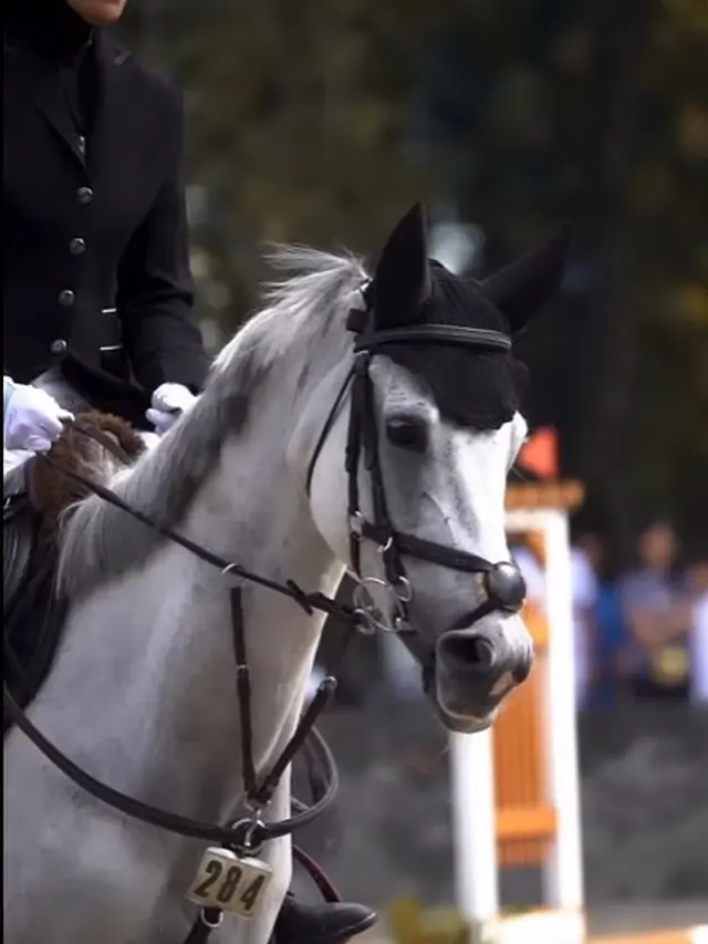 Shireen Sungkar pakai seragam berkuda (Instagram/shireensungkar)