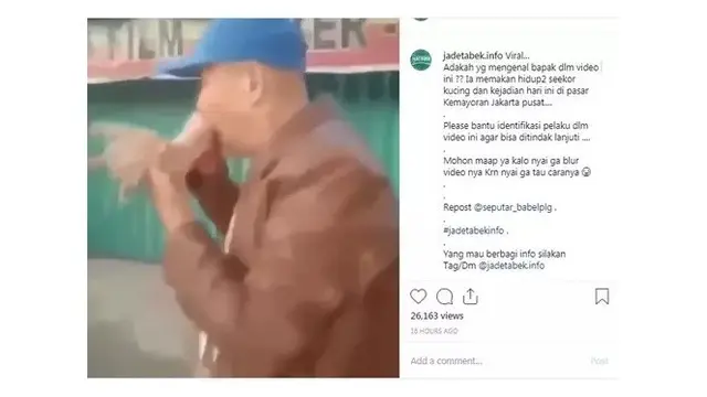 Fakta Pria Makan Kucing Hidup yang Viral di Media Sosial