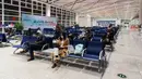 Para penumpang menunggu untuk menaiki pesawat di Bandara Liuji di Kota Xiangyang, Provinsi Hubei, China (29/3/2020). Layanan penerbangan penumpang domestik kembali beroperasi di Hubei, wilayah yang sempat terdampak COVID-19, kecuali layanan di Bandara Internasional Tianhe Wuhan. (Xinhua/Xie Jianfei)